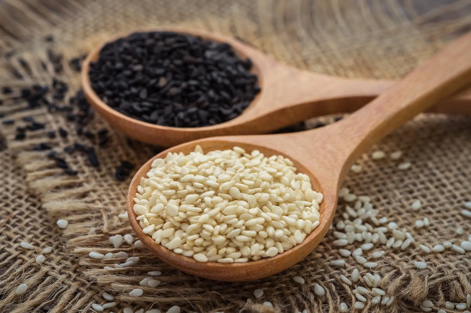 فرآیند تولید تخمه ژاپنی با استفاده از مواد بازیافتی