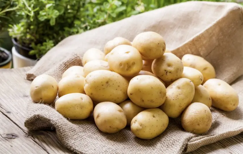 سیبزمینیهای مختلف در صنایع غذایی و فرآوری