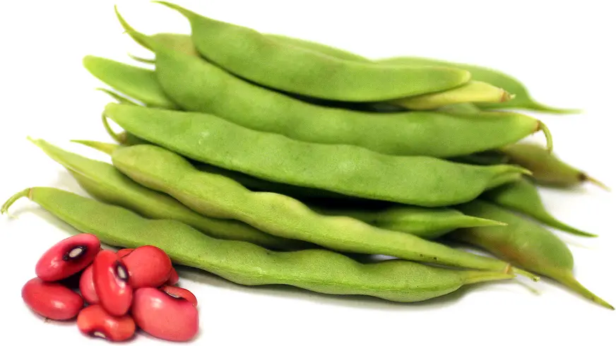 عدس پخته شده در ظرف چینی برای آش