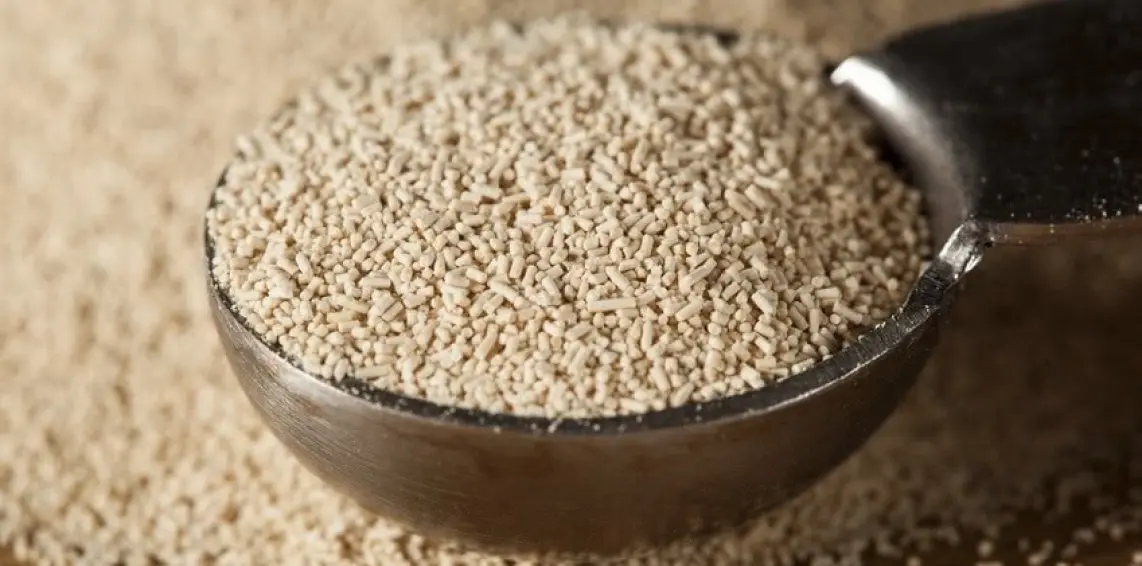 نمونهای از خمیر مایه با کیفیت در حال استفاده در پروژههای ساختمانی