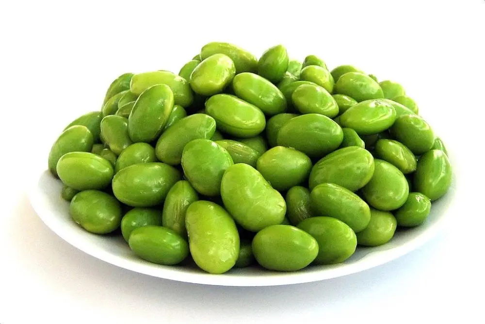 سویا پخته شده در ظرف چینی، یک غذای سالم و پروتئینی