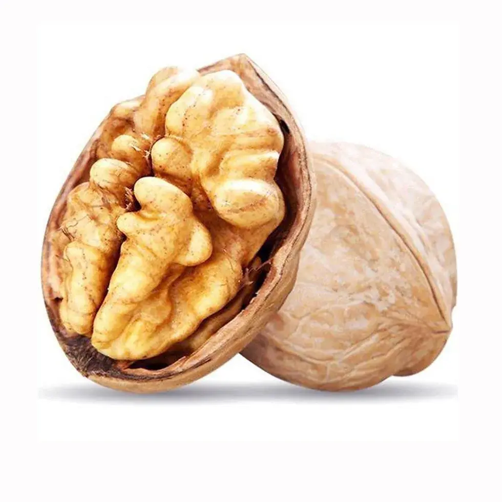 مغز گردو در ظروف مختلف و آماده مصرف