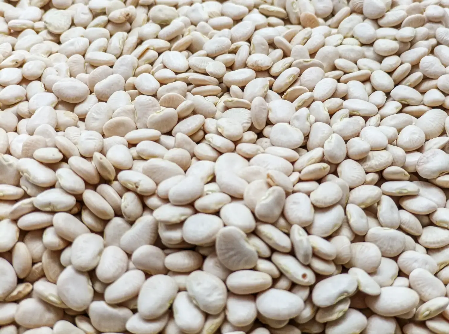 لوبیا سفید در ظرف چوبی
