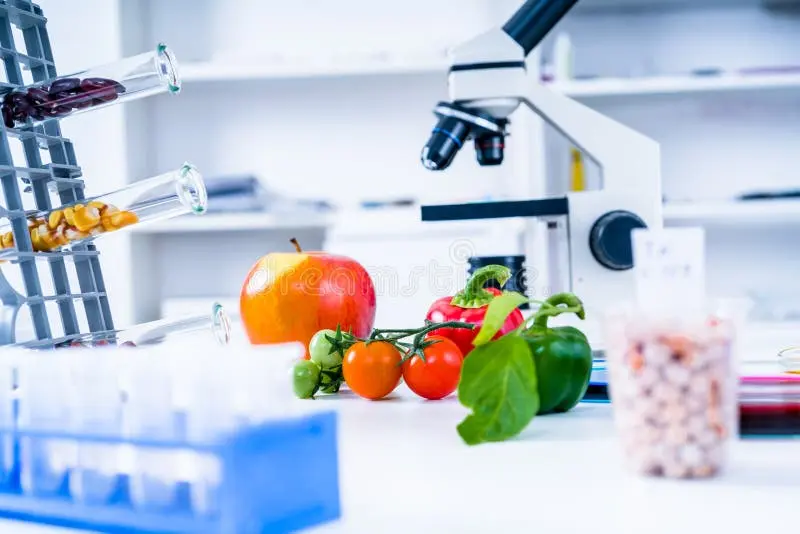 آزمایشگاه شیمیایی با تجهیزات پیشرفته برای تحلیل مواد غذایی مصنوعی و ترکیبی