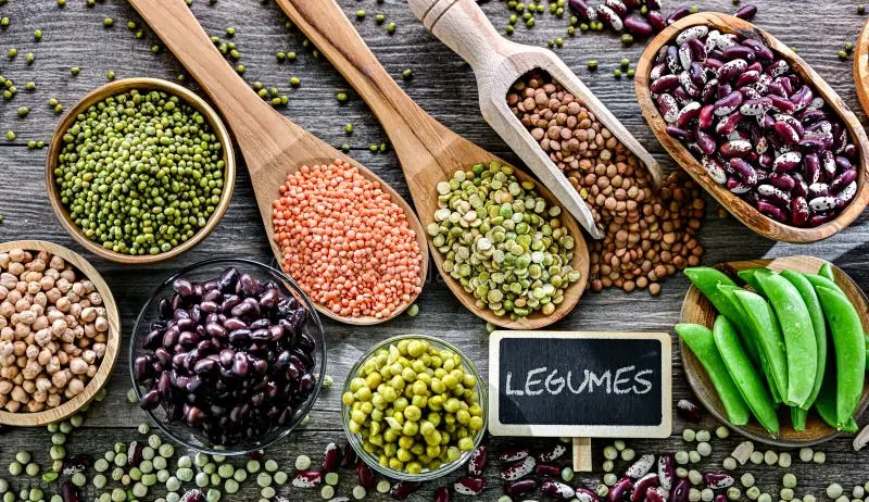 حبوبوبات به عنوان پایه رژیم‌های گیاهی و سالم