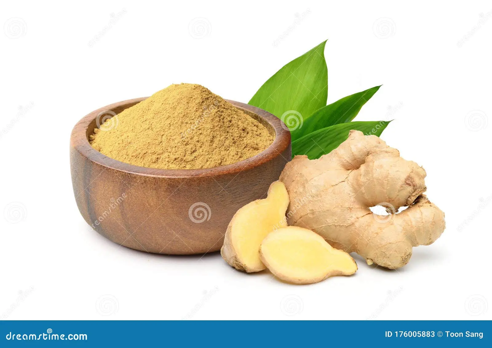 پودر زنجبیل خشک شده در کاسه چوبی با ریشه و برگ تازه