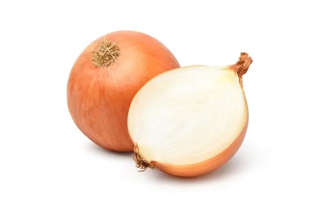 پیاز سفید تازه و سالم در حالت طبیعی