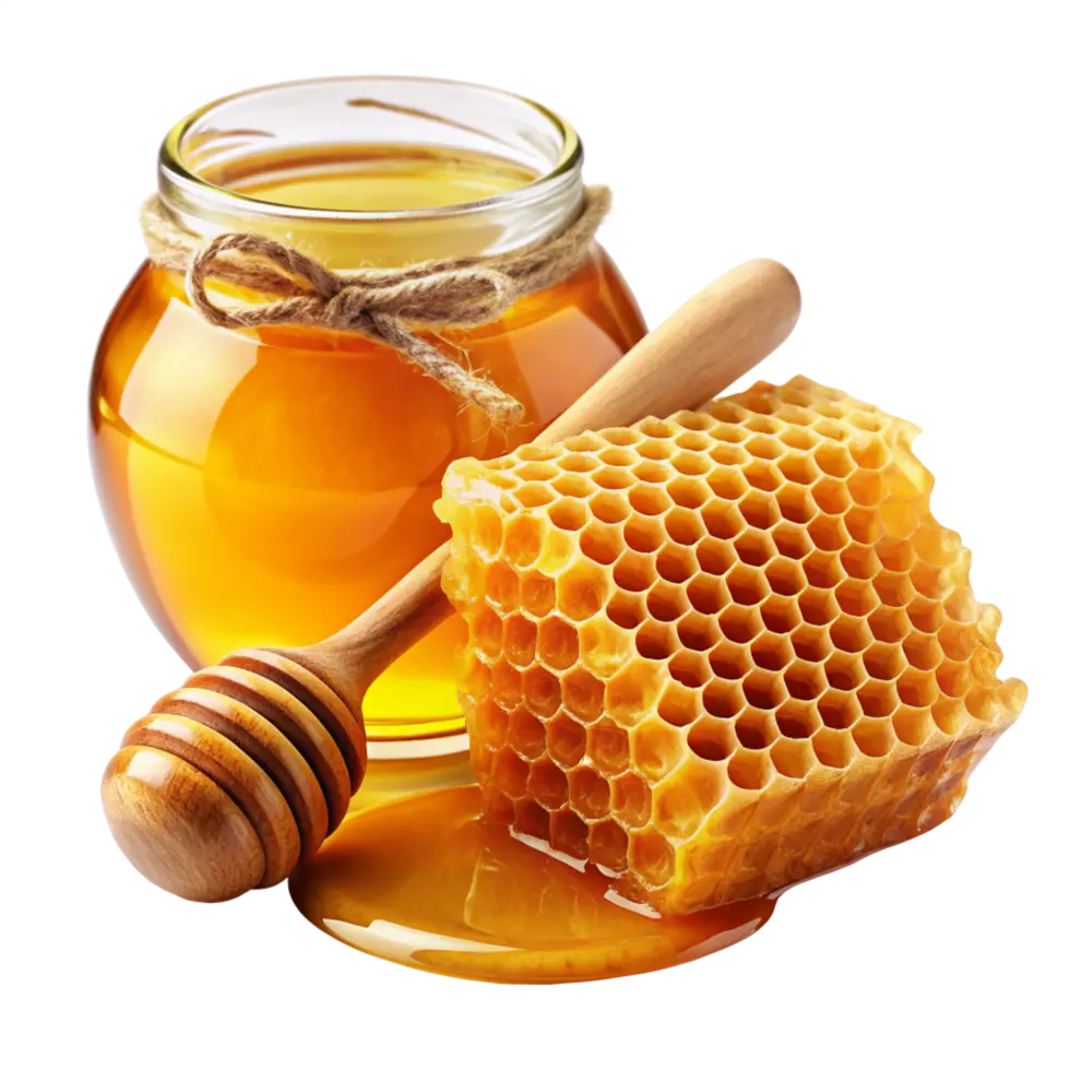 راهنمای انتخاب عسل کوهی؛ نکات مهمی که باید بدانید