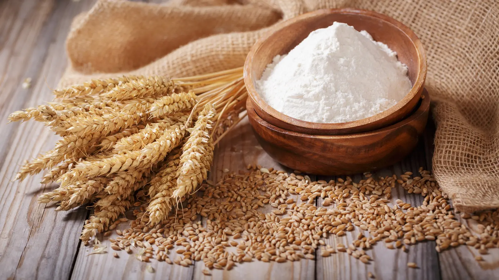 الک‌های صنعتی مختلف برای فیلتر کردن مواد