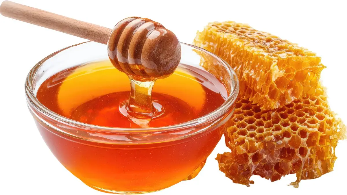 عسل طبیعی در ظرف شیشه‌ای با کیفیت بالا