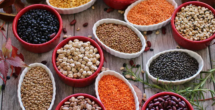 نمونه انواع حبوبات و ترکیبات مواد مغذی آنها