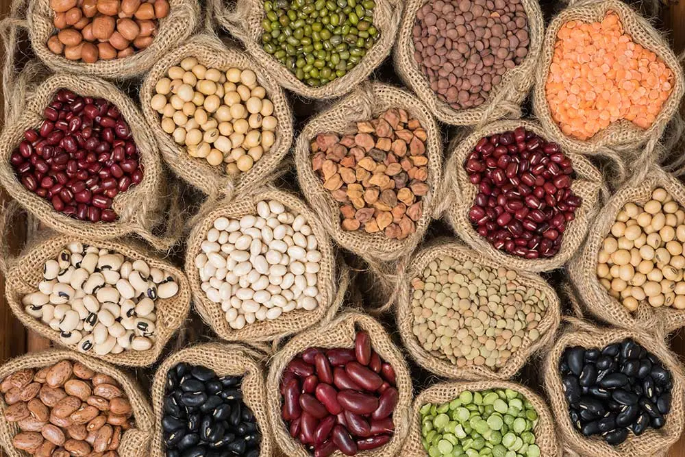 ماش پخته شده در ظرف سفالی، یکی از حبوبات زودپز با بافت نرم و مناسب برای غذاهای سنتی