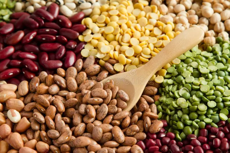 انواع مختلف حبوبات در فروشگاه مواد غذایی
