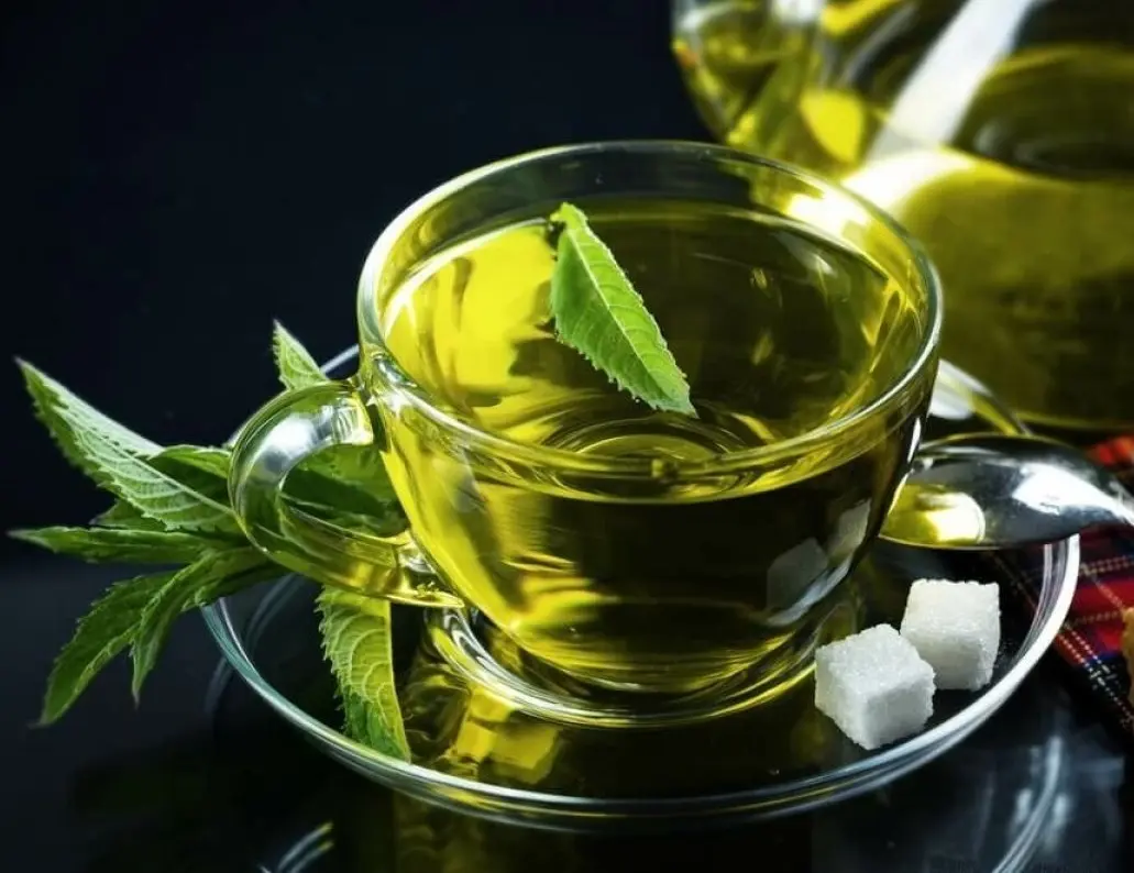 چای سبز در ظرف سفالی با برگهای تازه و برگهای خشک