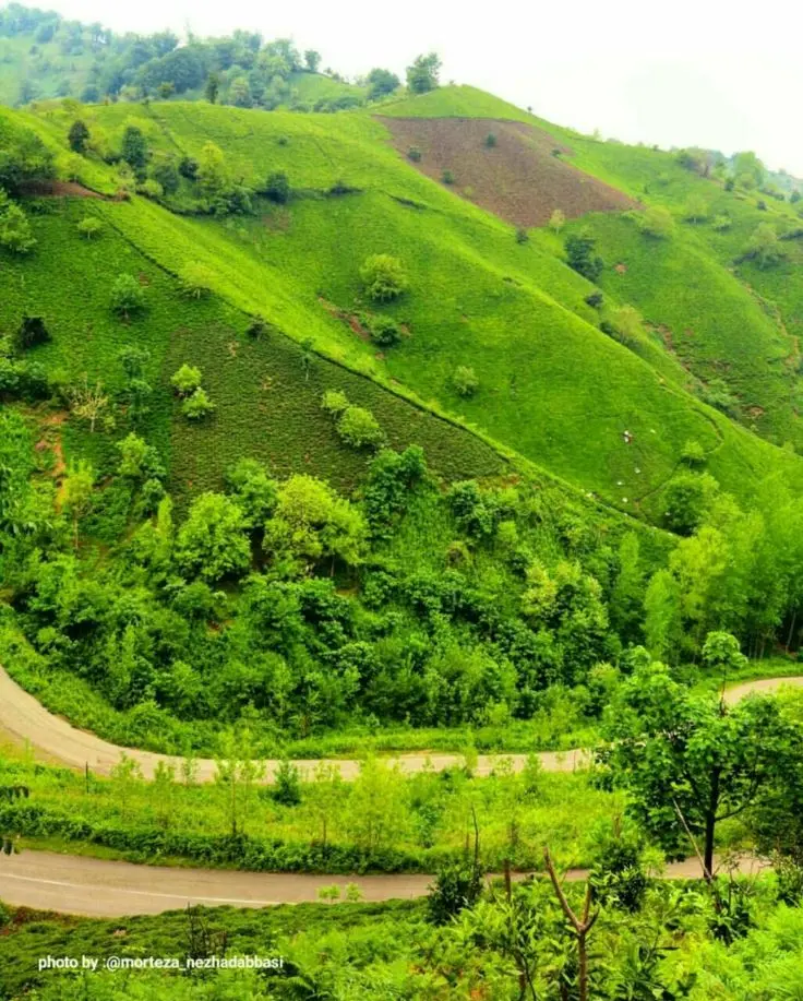 منظره سبز و کوهستانی لاهیجان با خانههای سنتی چوبی