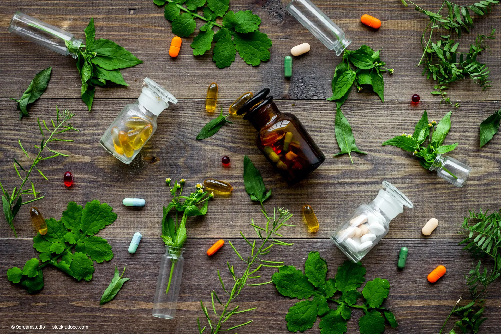گیاهان دارویی مختلف در یک محیط طبیعی