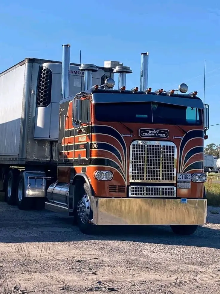 کامیون Freightliner در حال حمل بار با طراحی مدرن و کاربردی