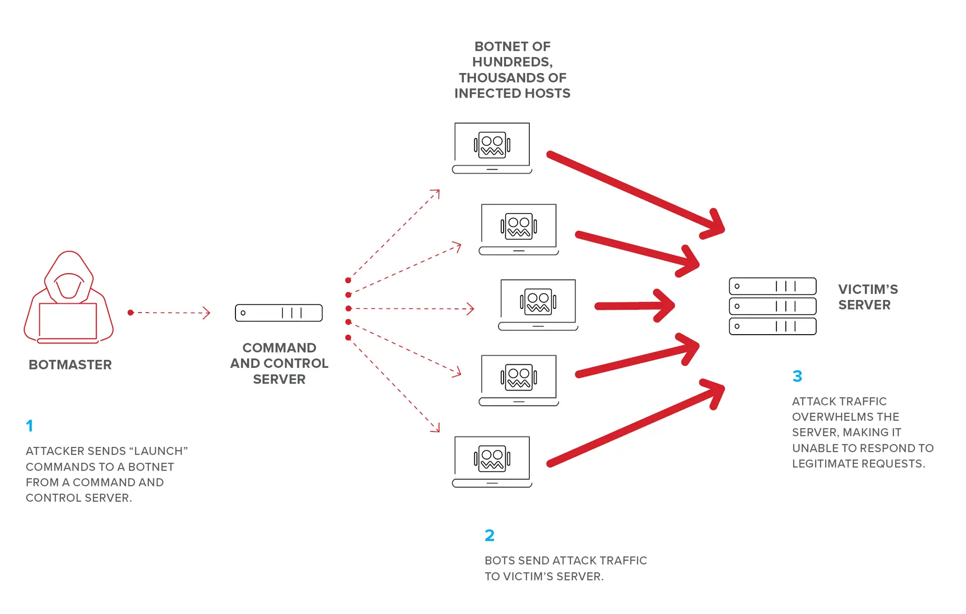 نمایی از شبکه بوت‌نت و نحوه حمله DDoS به یک سرور هدف