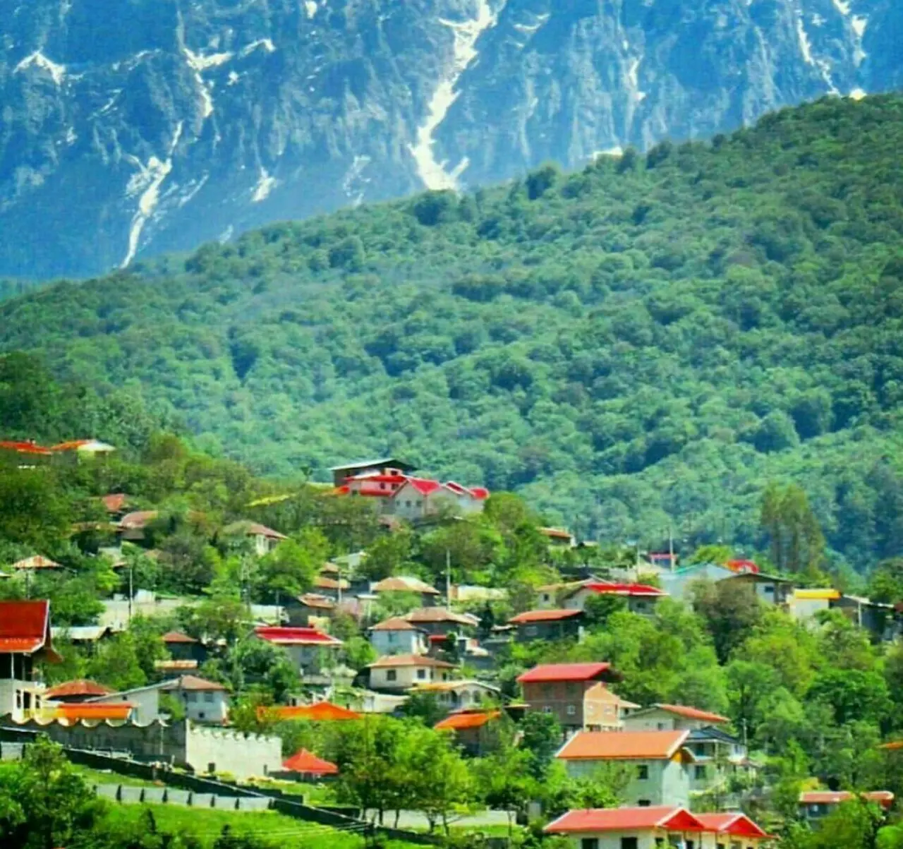 منظره زیبا از سواحل دریای خزر با آبهای آرام و درختان سرسبز
