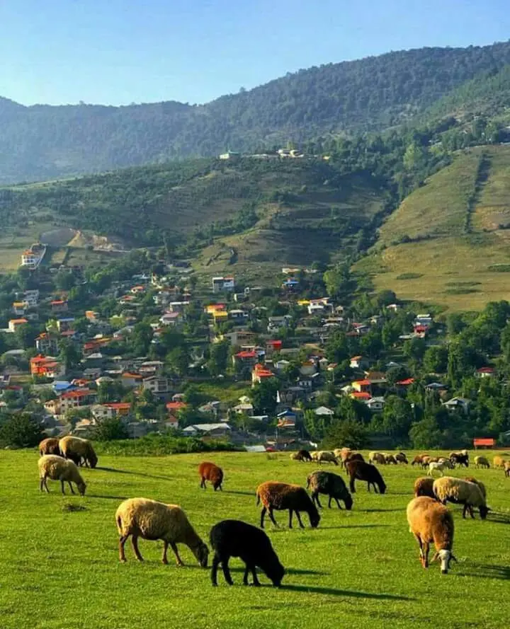 منظره کوهستانی دماوند با ابرهای سفید و طبیعت بکر