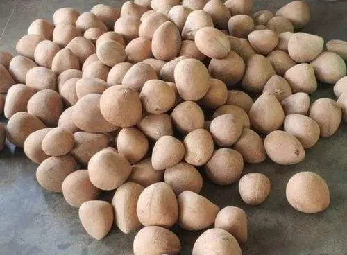 کوپرا به عنوان ماده اولیه در تولید روغن نارگیل و محصولات غذایی