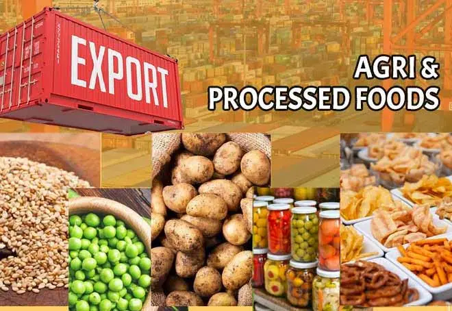 کنترل کیفیت مواد غذایی در کارخانه تولیدی