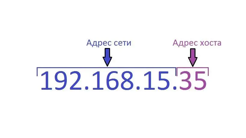 نمایش گرافیکی از پروتکل DHCP و نحوه اختصاص آدرس IP پویا به دستگاهها