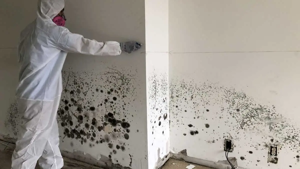 آببندی شیمیایی دیوار برای جلوگیری از رطوبت صعودی