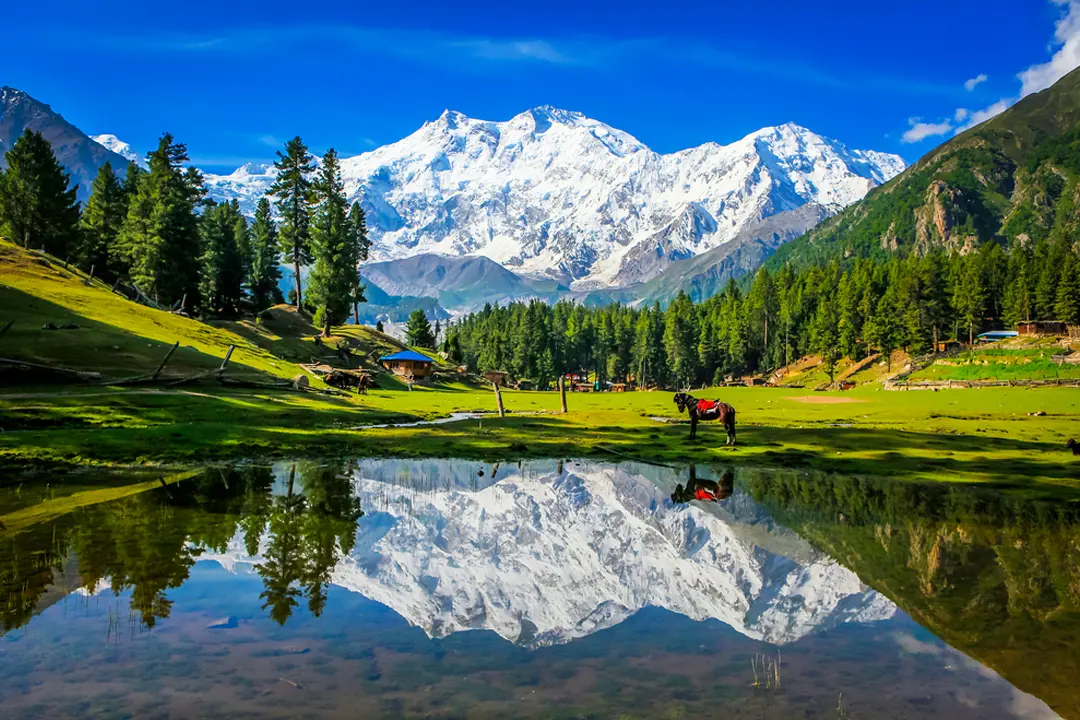 خودروی ۴×۴ در مسیر کوهستانی و طبیعی