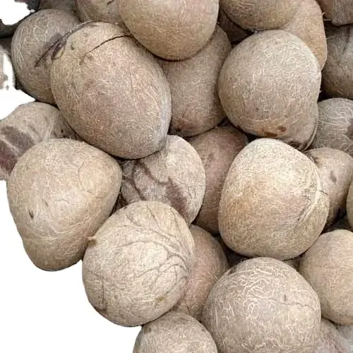 مدل‌های قدیمی کوپرا