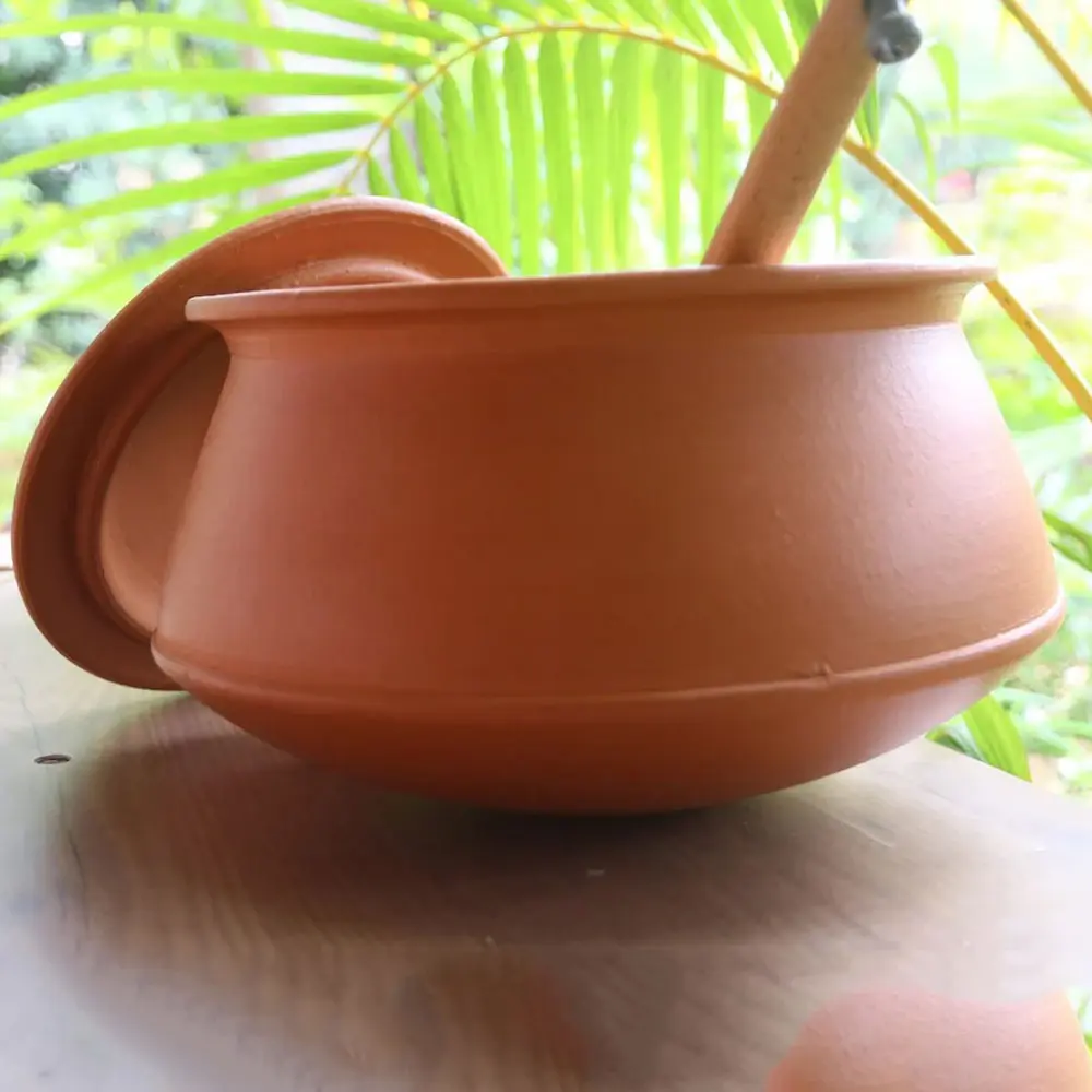 گلدان گلی سنتی برای گیاهان داخل خانه