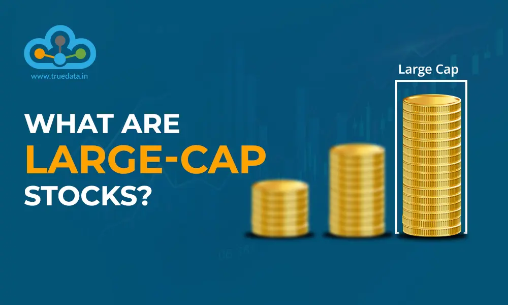 مقایسه ارزهای دیجیتال با ارزش بازار مختلف از جمله Large Cap، Mid Cap و Small Cap