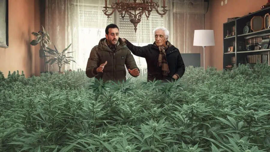 مذاکره اعضای خانواده برای تعیین نقشها و مسئولیتها در کسبوکار