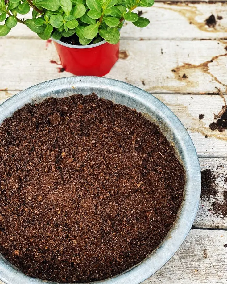 نمونه‌ای از خاک گلدان با ترکیبات مختلف برای گیاهان مختلف