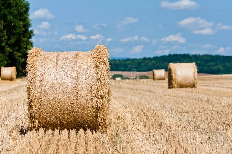 رولر علوفه — Hay Roller