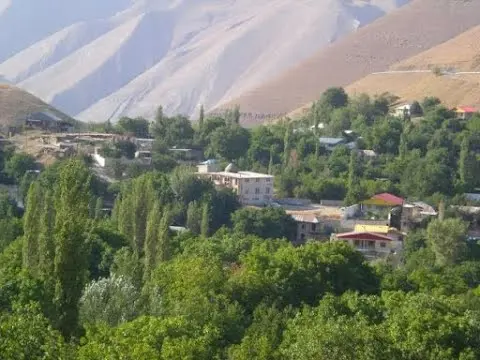 منظره جنگل‌های سرسبز چالوس با درختان بلند و هوای خنک