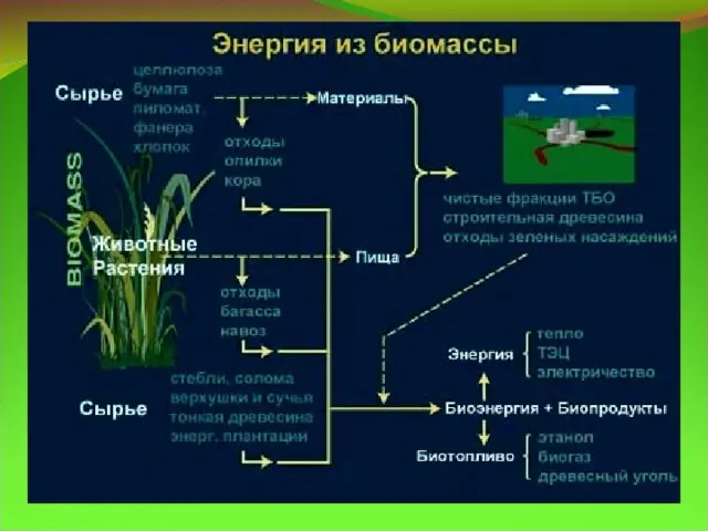 پروژه ساختوساز با استفاده از مصالح زیستپایه و تکنولوژیهای مدرن