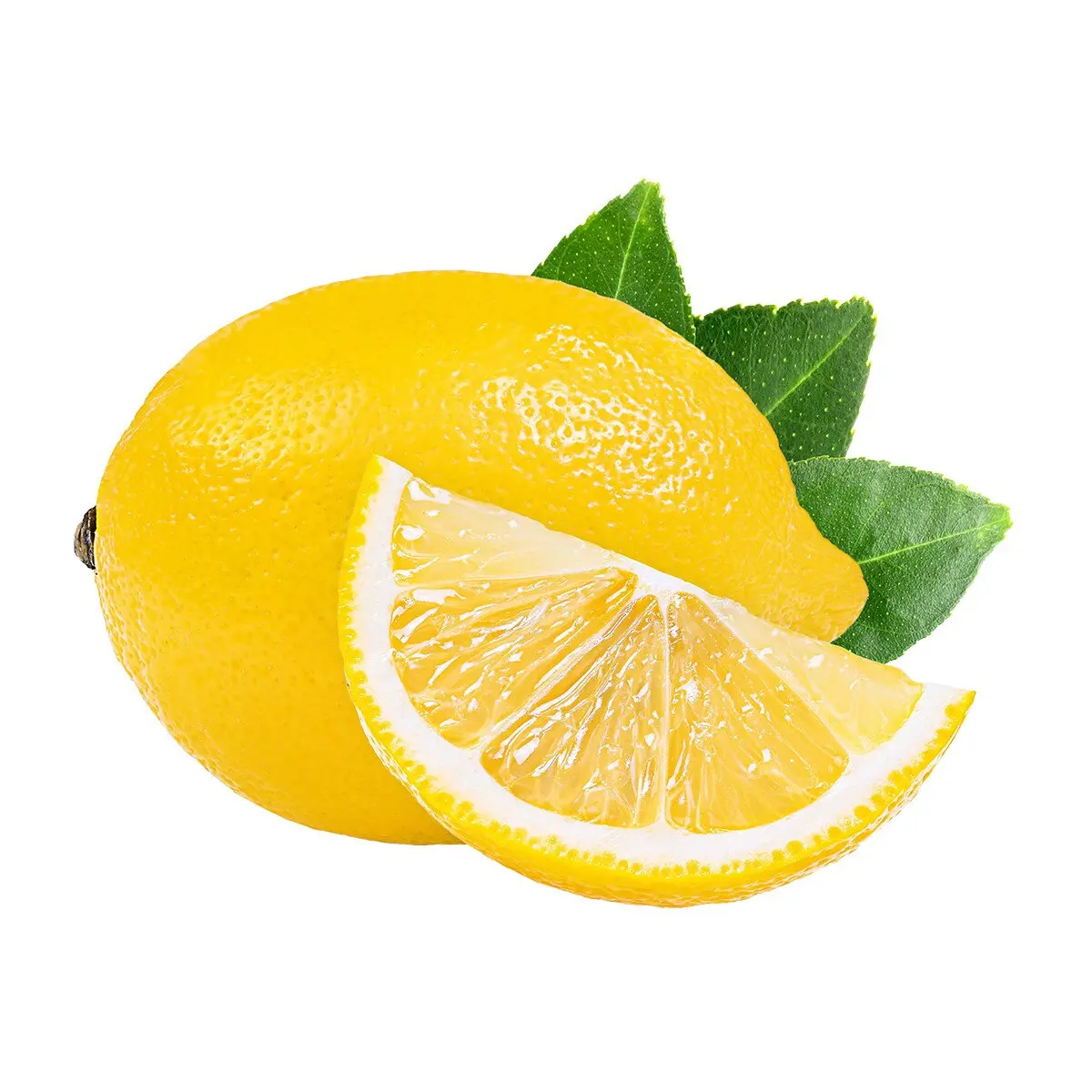 روش ذای باقی‌مانده را به‌درستی نگهداری کنیم؛ از انتخاب تا نکات مهم