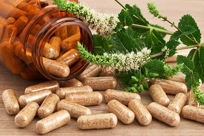 مصالح گیاهی در فرآوری محصولات طبیعی