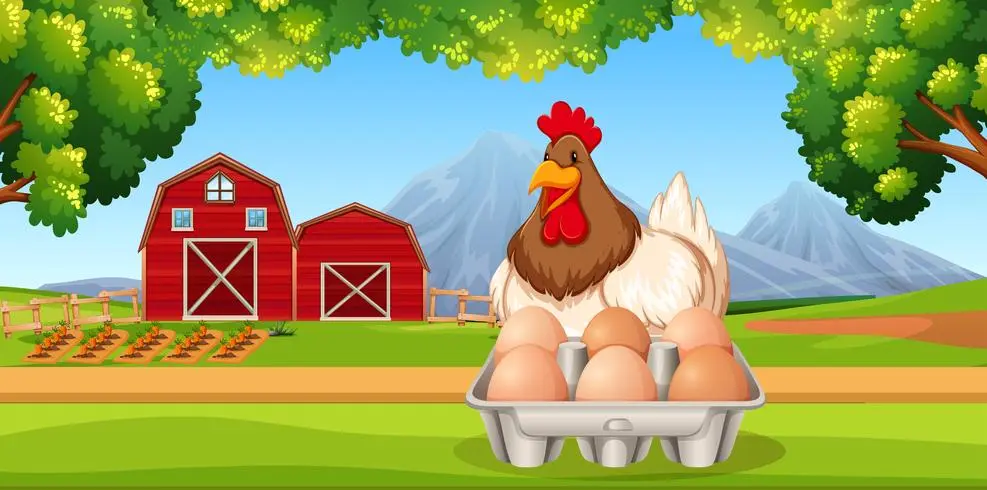سیستم‌های هوشمند برای مدیریت تولید تخم‌مرغ در مرغداری