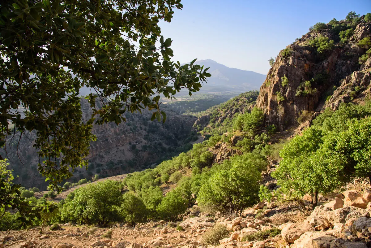 منظره کوهستانی رشتهکوه زاگرس با تپههای سبز و آسمان صاف