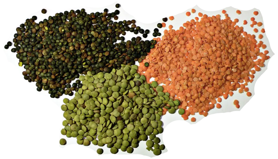بهترین دال عدس؛ قبل از انتخاب این نکات را ببینید