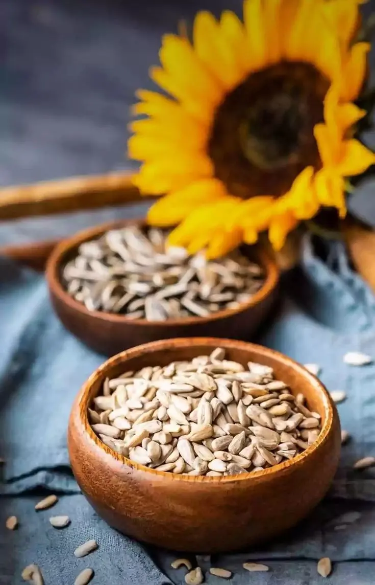 بهترین بذر گل؛ نکات خرید و انتخاب هوشمندانه
