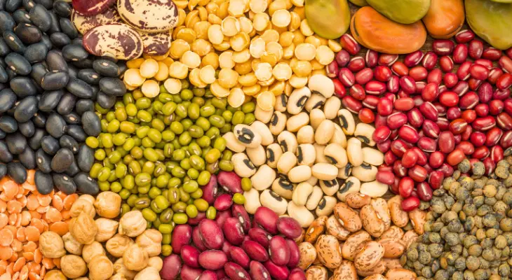 بهترین حبوبات زودپز؛ گزینه‌های مناسب را چطور انتخاب کنیم؟