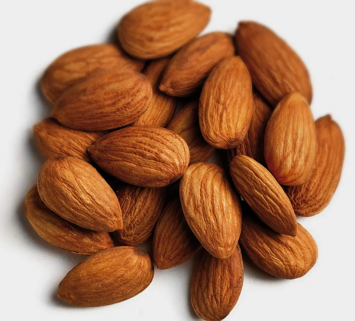مقایسه گزینه‌های بادام؛ چطور بهترین انتخاب را داشته باشیم؟