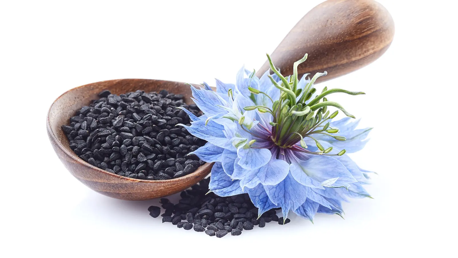 مقایسه گزینه‌های زیره سیاه؛ چطور بهترین انتخاب را داشته باشیم؟