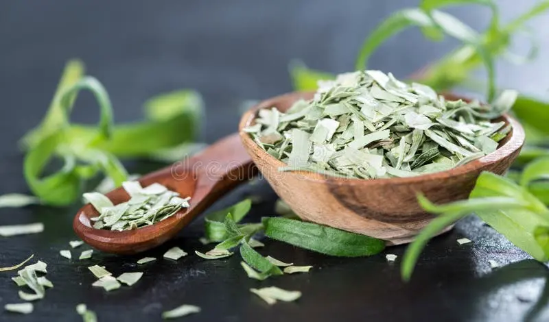 بهترین ترخون خشک؛ گزینه‌های مناسب را چطور انتخاب کنیم؟