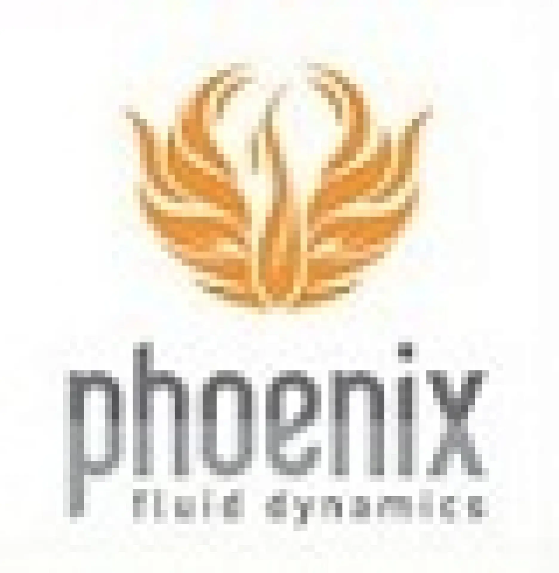 بررسی فونیکس FX؛ مشخصات فنی و تجربه رانندگی