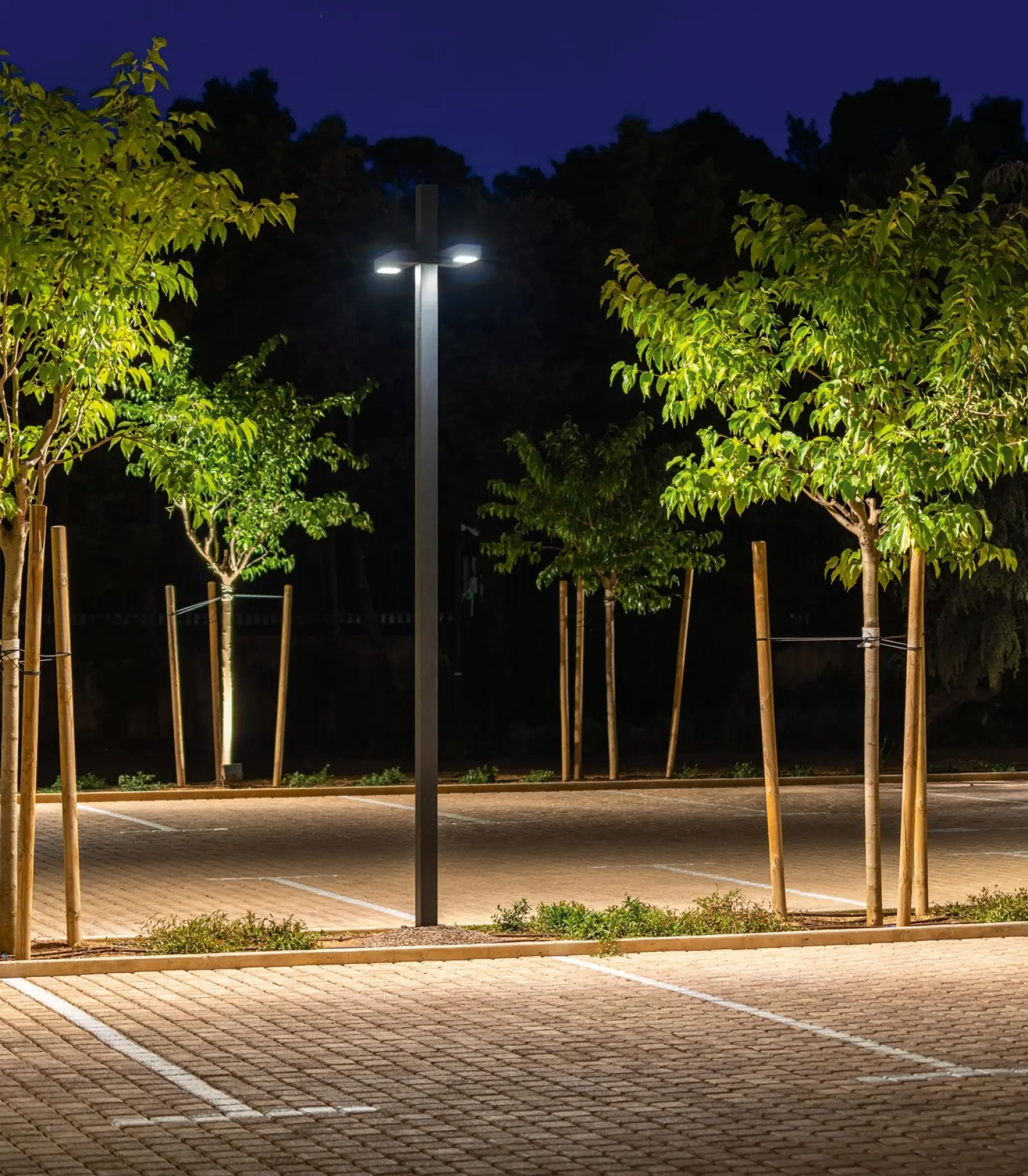 خرید چراغ پارکی؛ راهنمای انتخاب برای فضای سبز و اشتباهاتی که باید بشناسید