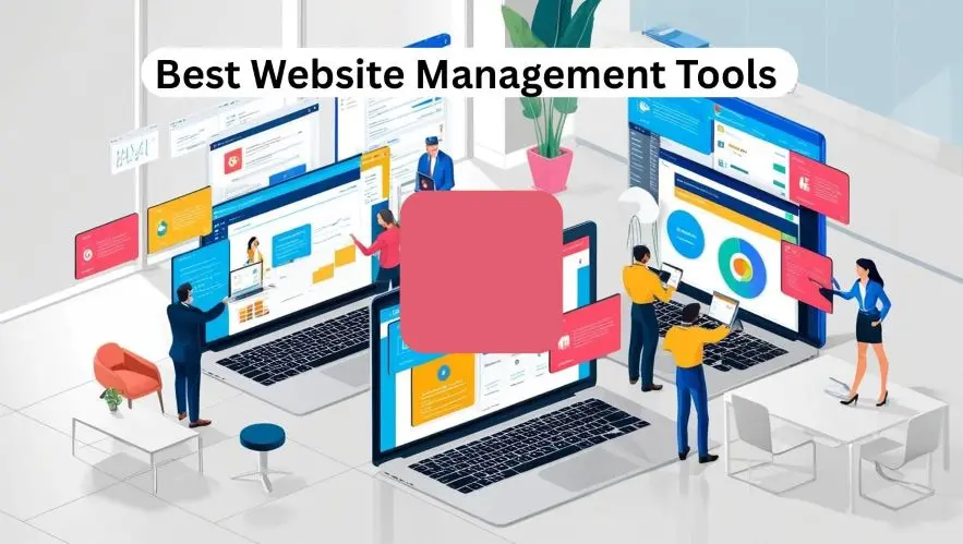 CMS چیست و چگونه مدیریت سایت را ساده می‌کند؛ بررسی نکات و جزئیات مهم